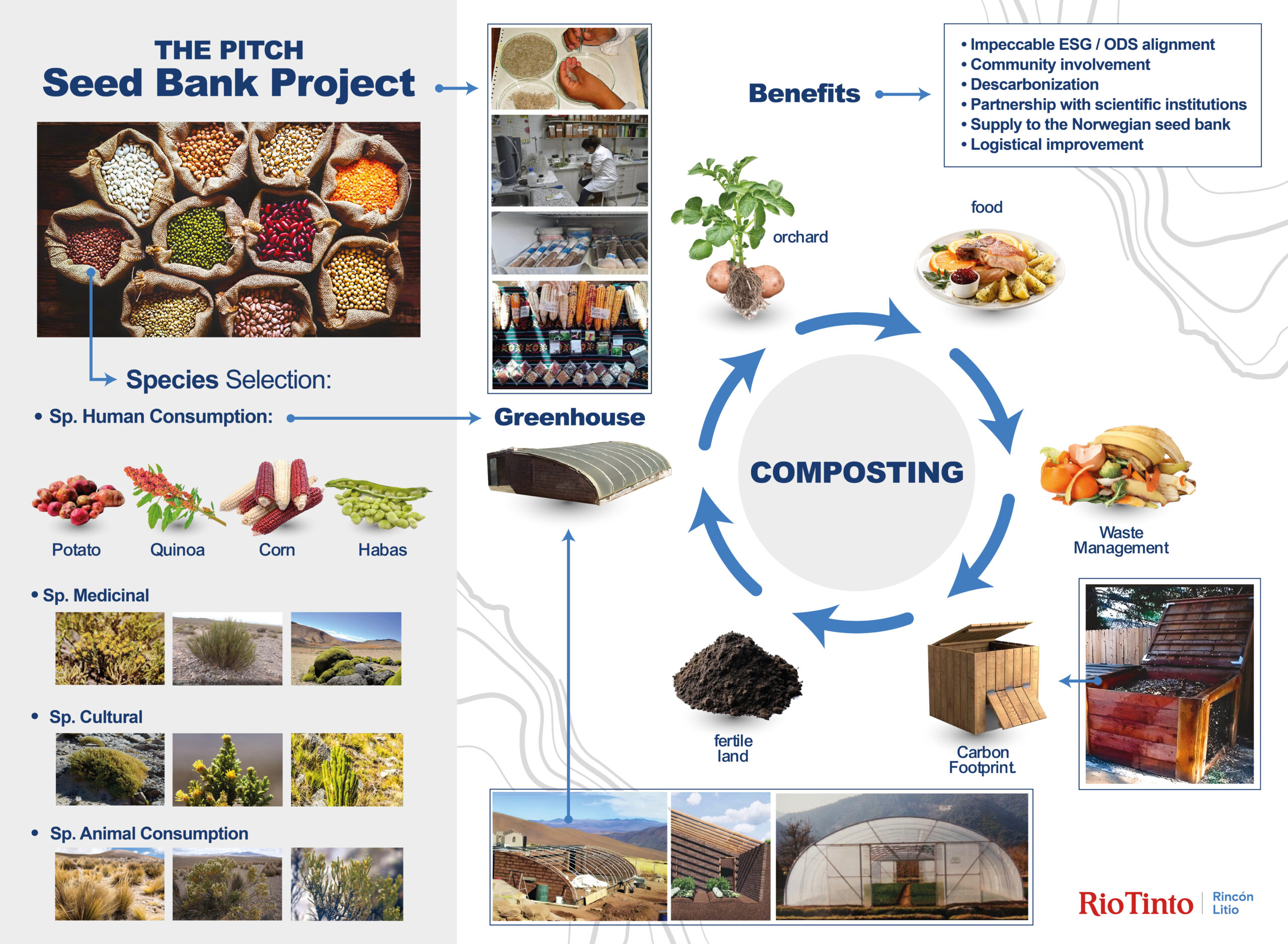 Proyecto Rio Tinto - Imagen 2