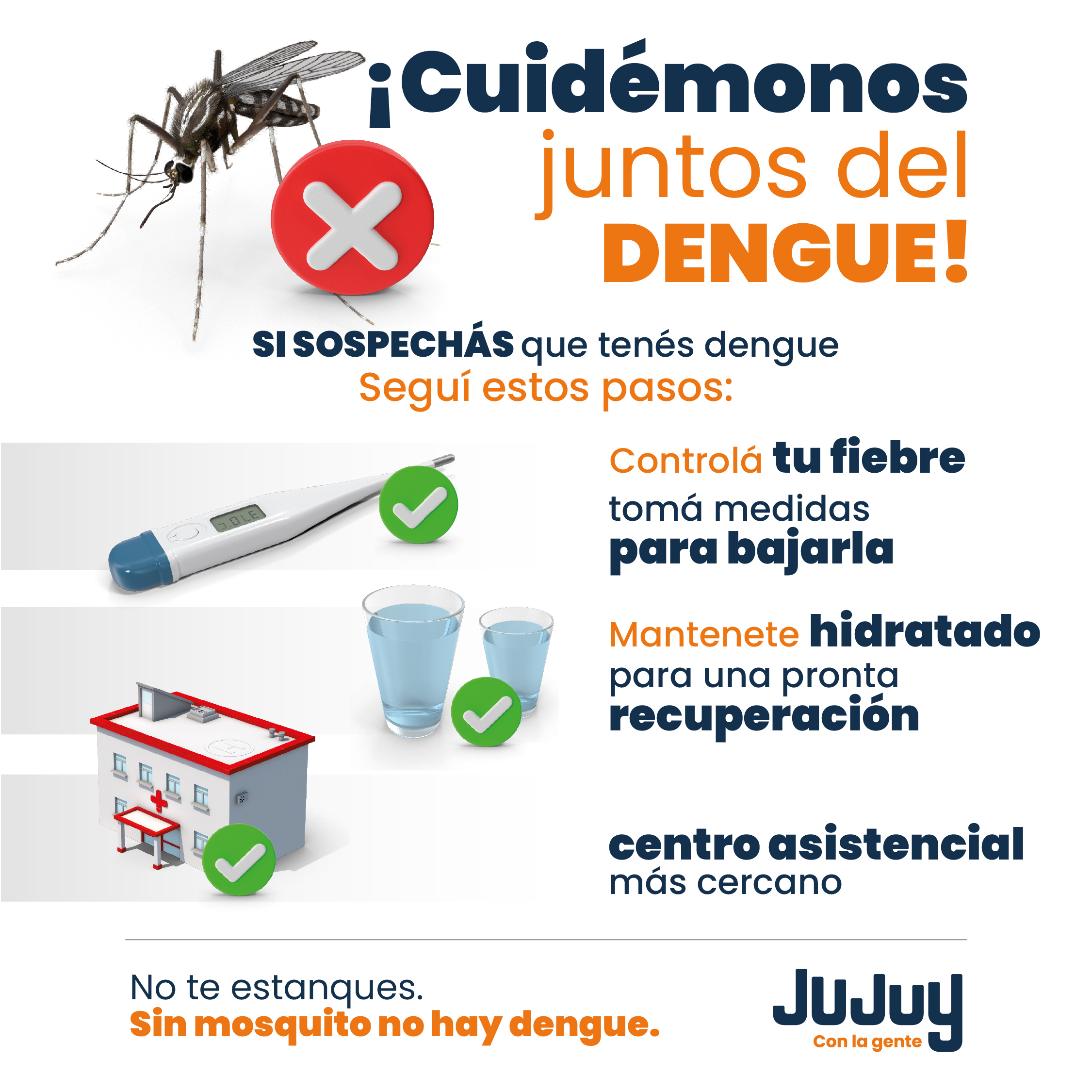 Gobierno de Jujuy Redes Dengue Parte 3B
