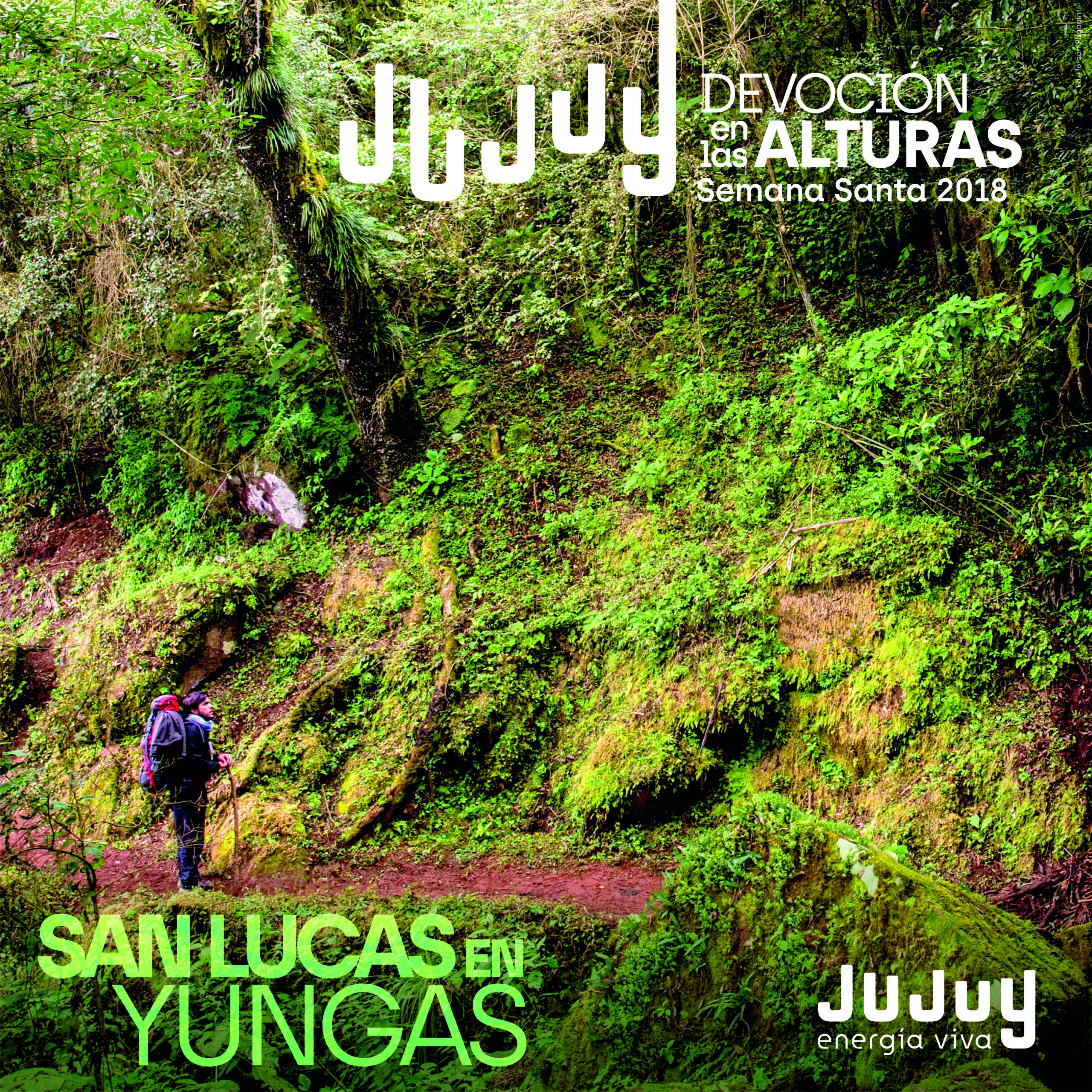 Jujuy Turismo - Yungas