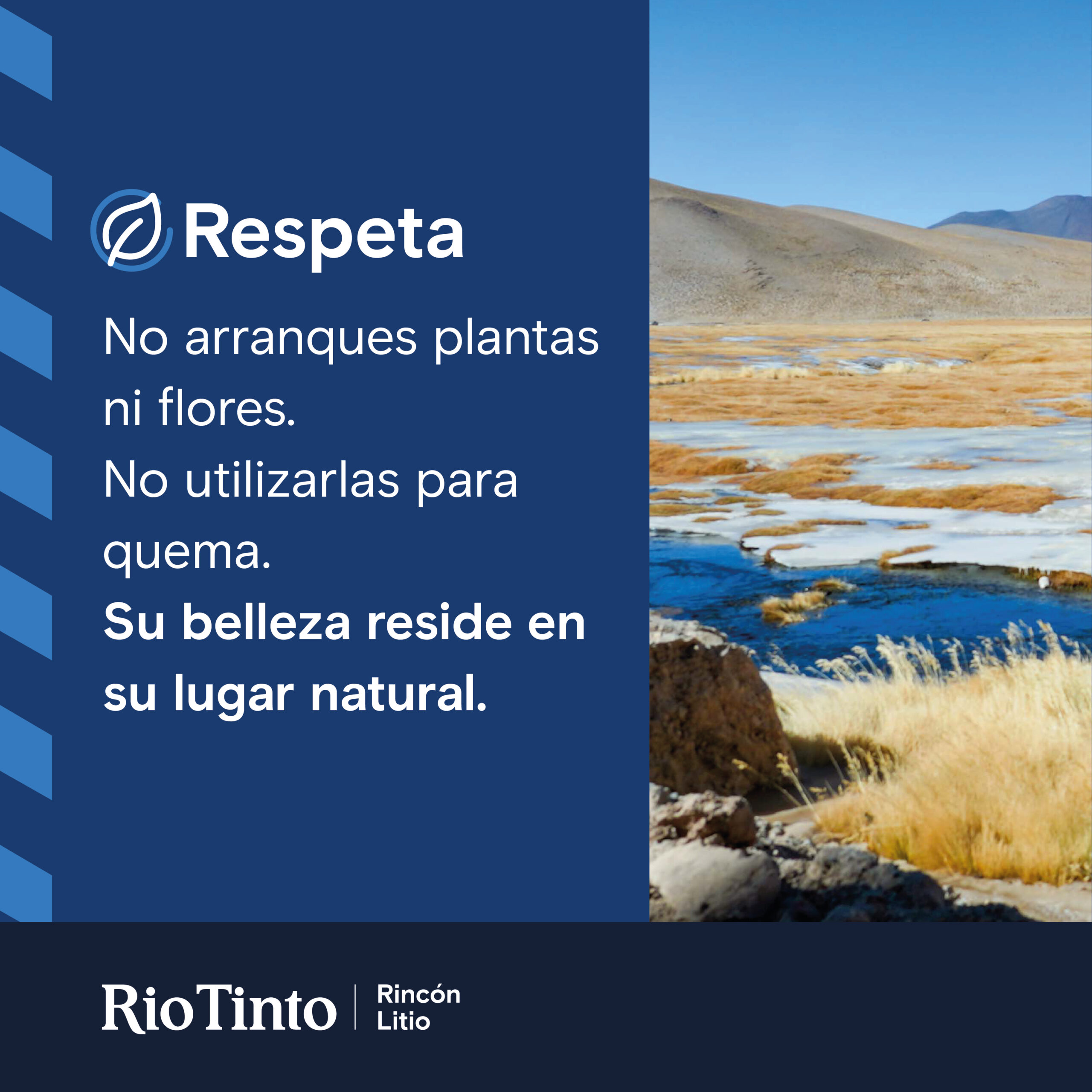RIO TINTO Carteles Ambientales Flora Respeta