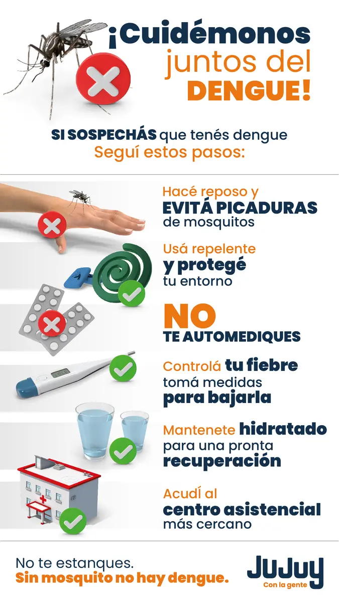 Gobierno de Jujuy Redes Dengue Historias
