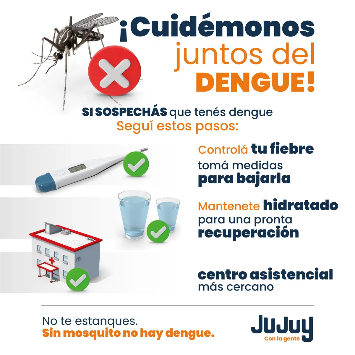 Gobierno de Jujuy Redes Dengue Parte 3B