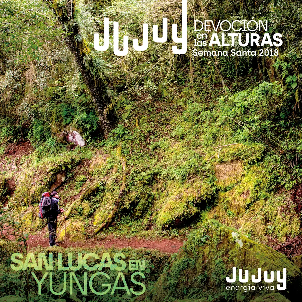 Jujuy Turismo - Yungas