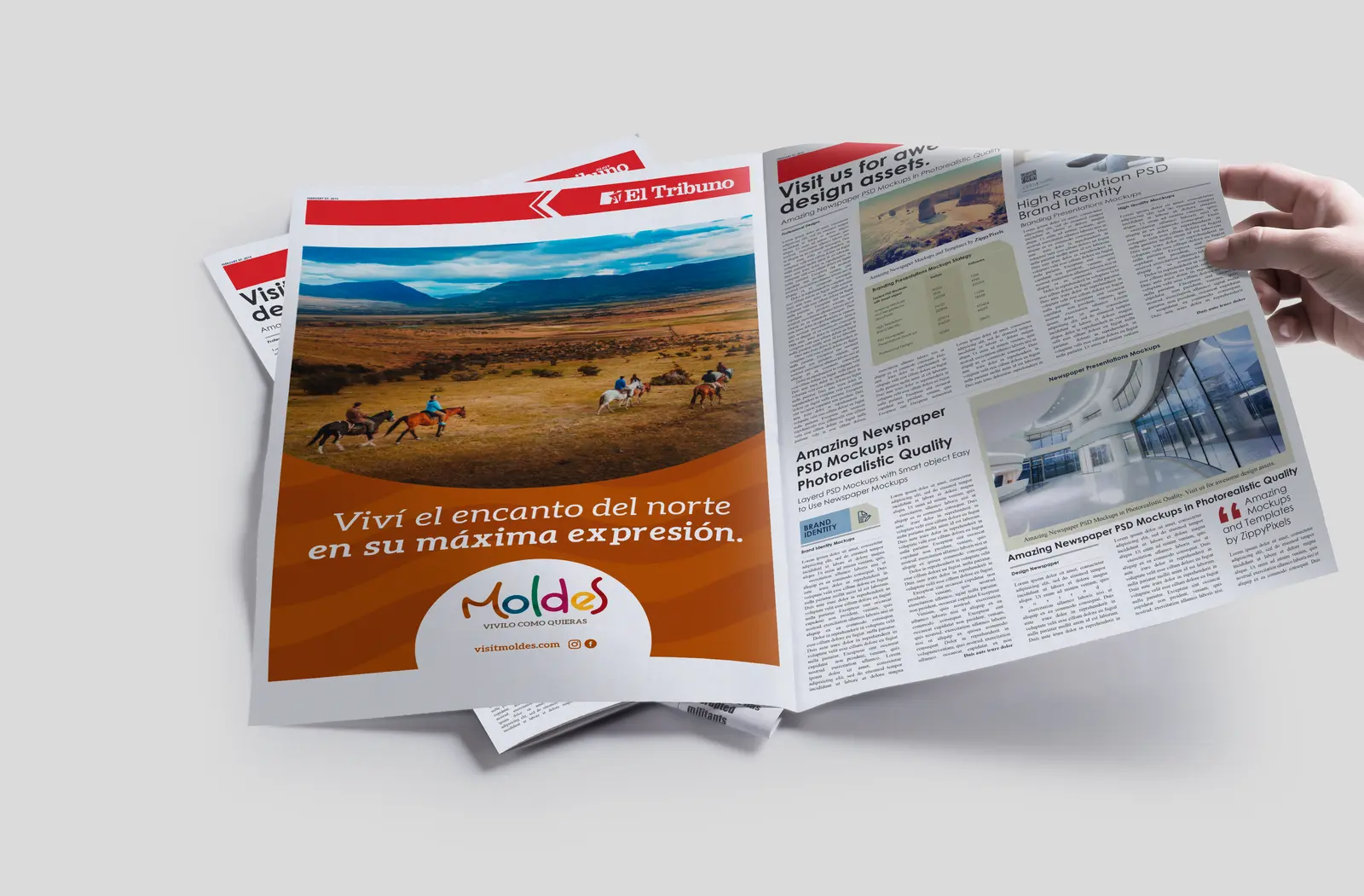 MOLDES Aviso de Diario Mockup 1