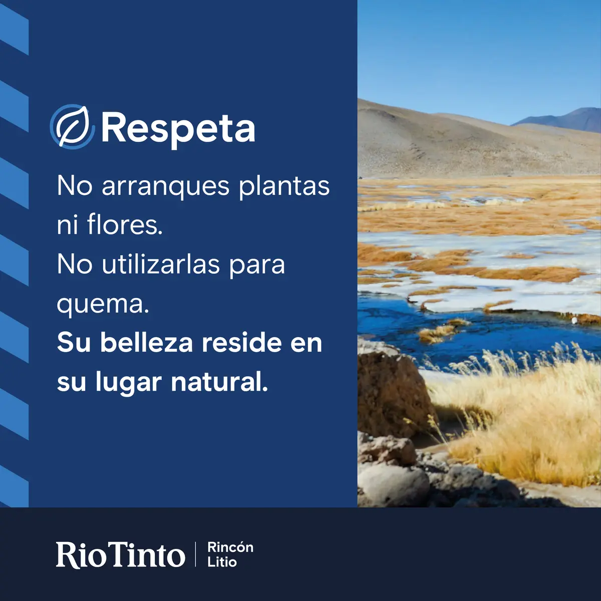 Minería Carteles Ambientales Flora Respeta